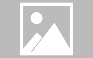 莒县网页设计英文默认字体（网页设置英文转换中文）